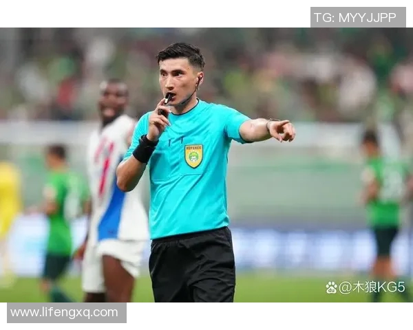 上港与国安对决裁判表现分析及影响比赛结果的因素探讨