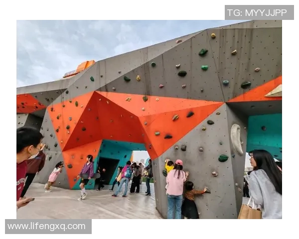 滑板精英赛特别报道：见证上海攀岩队从默默无闻到耀眼夺冠的成长历程