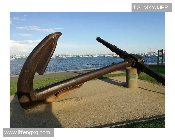 金士顿城与墨尔本港鲨鱼的激烈对决谁能笑到最后