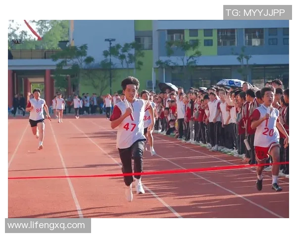 陈强独家分享飞盘技巧与心得体会助你轻松掌握这项运动的魅力与乐趣